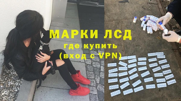 сатива Алексин