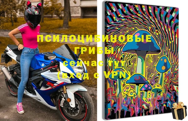 сатива Алексин