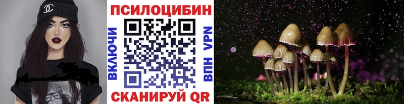 цены наркотик  дарк нет телеграм  Галлюциногенные грибы Cubensis  Пошехонье  omg как зайти 